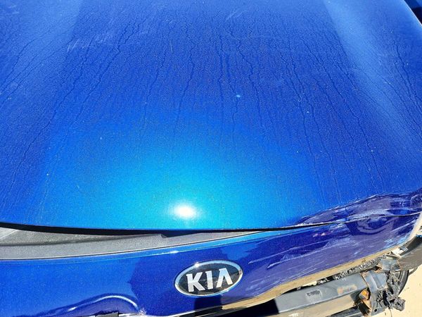 2021 KIA FORTE GT Line