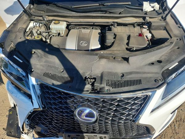 2020 LEXUS RX 350