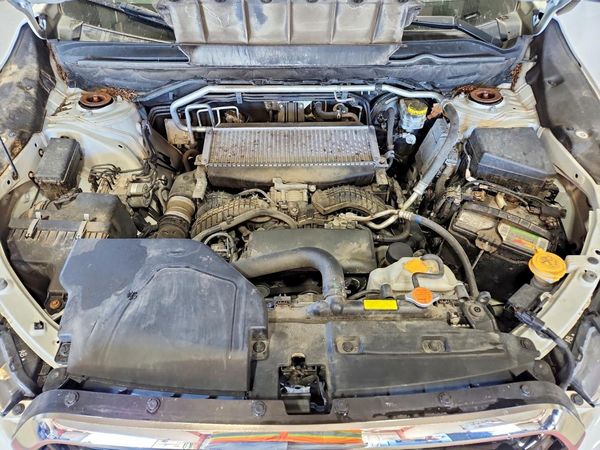 2019 SUBARU ASCENT