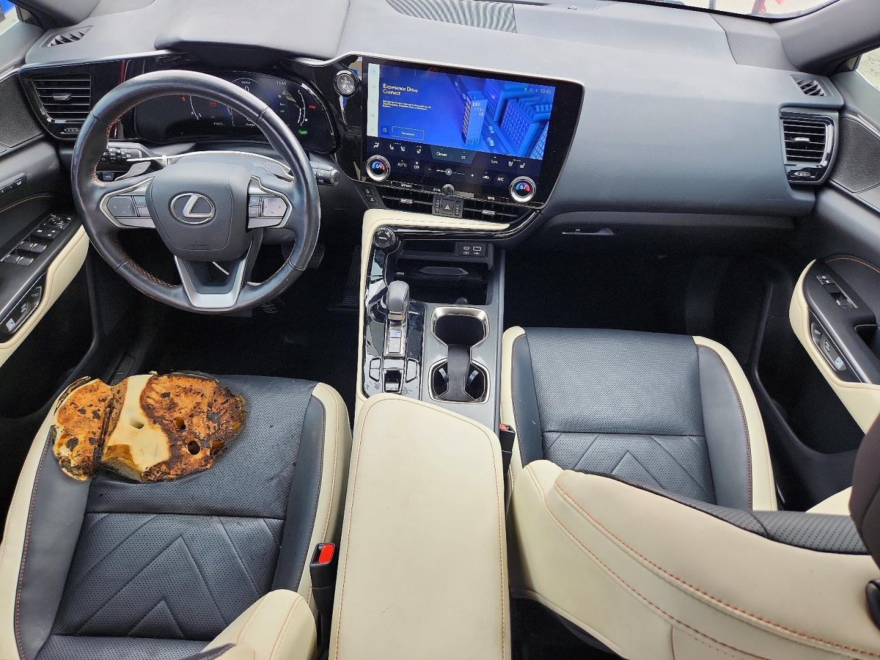 2022 LEXUS NX 350h Luxury