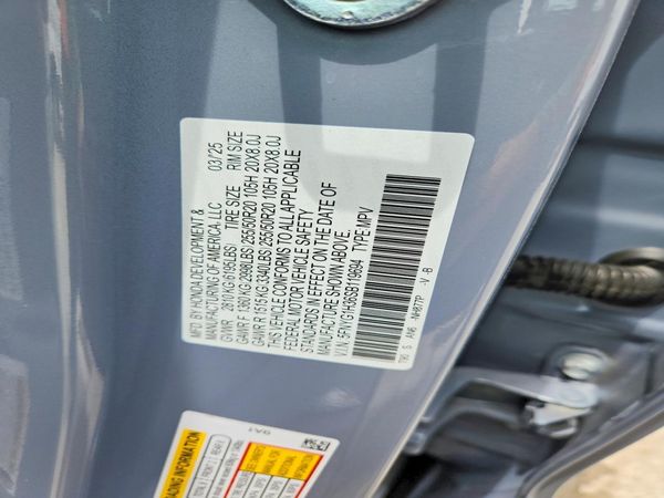 2025 HONDA PILOT SPORT
