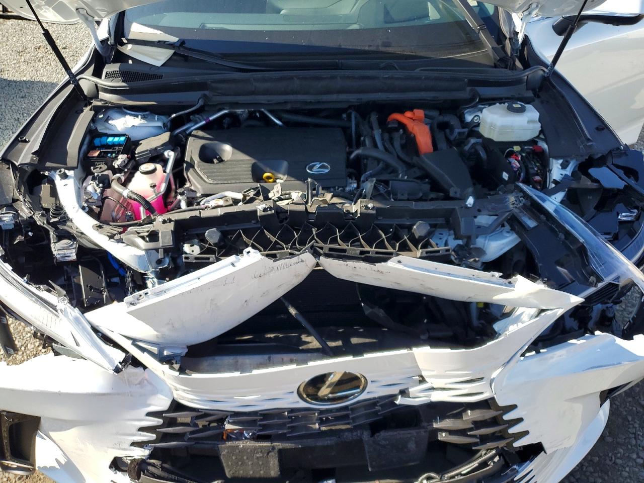 2025 LEXUS RX 450h+