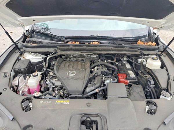 2024 LEXUS RX 350