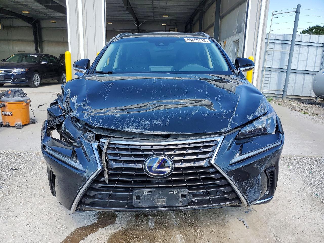 2019 LEXUS NX 300H Luxury