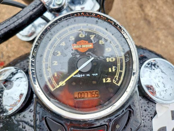 2013 HARLEY-DAVIDSON FLS