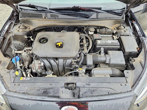 2019 KIA FORTE S/GT Line