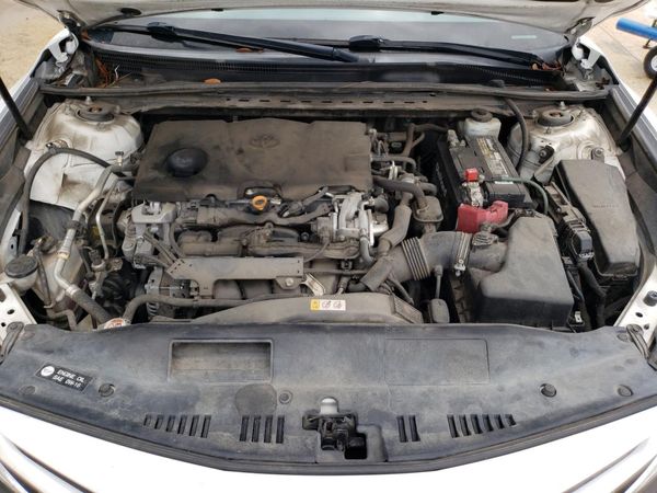 2019 TOYOTA CAMRY L/LE/SE/XLE