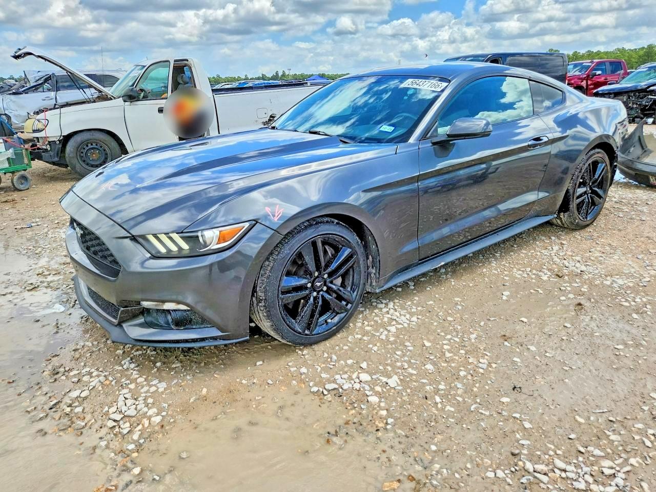 2017 FORD MUSTANG I4 Coupe