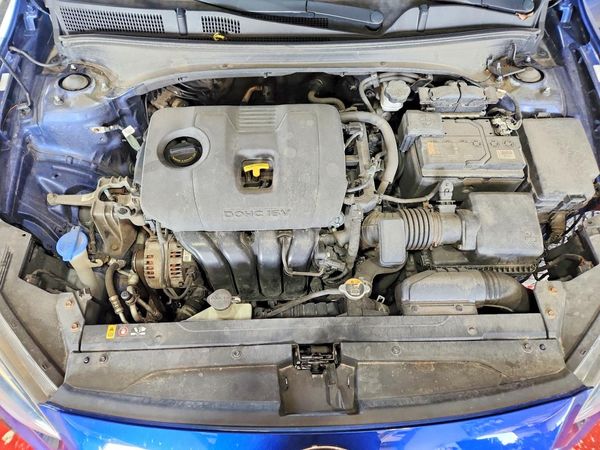 2019 KIA FORTE FE/LX/LXS