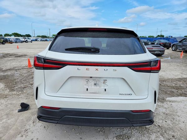 2023 LEXUS NX 250 Base