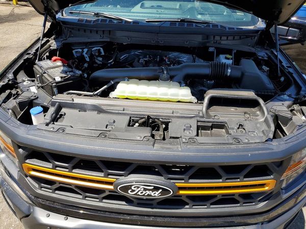 2025 FORD F150 Tremor
