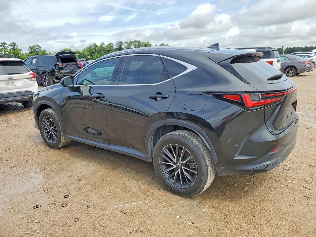 2024 LEXUS NX 350 Premium