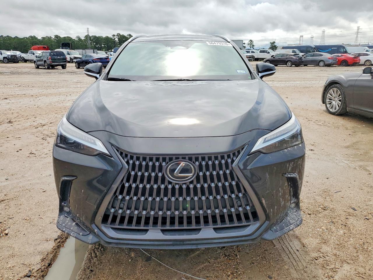 2024 LEXUS NX 350 Premium