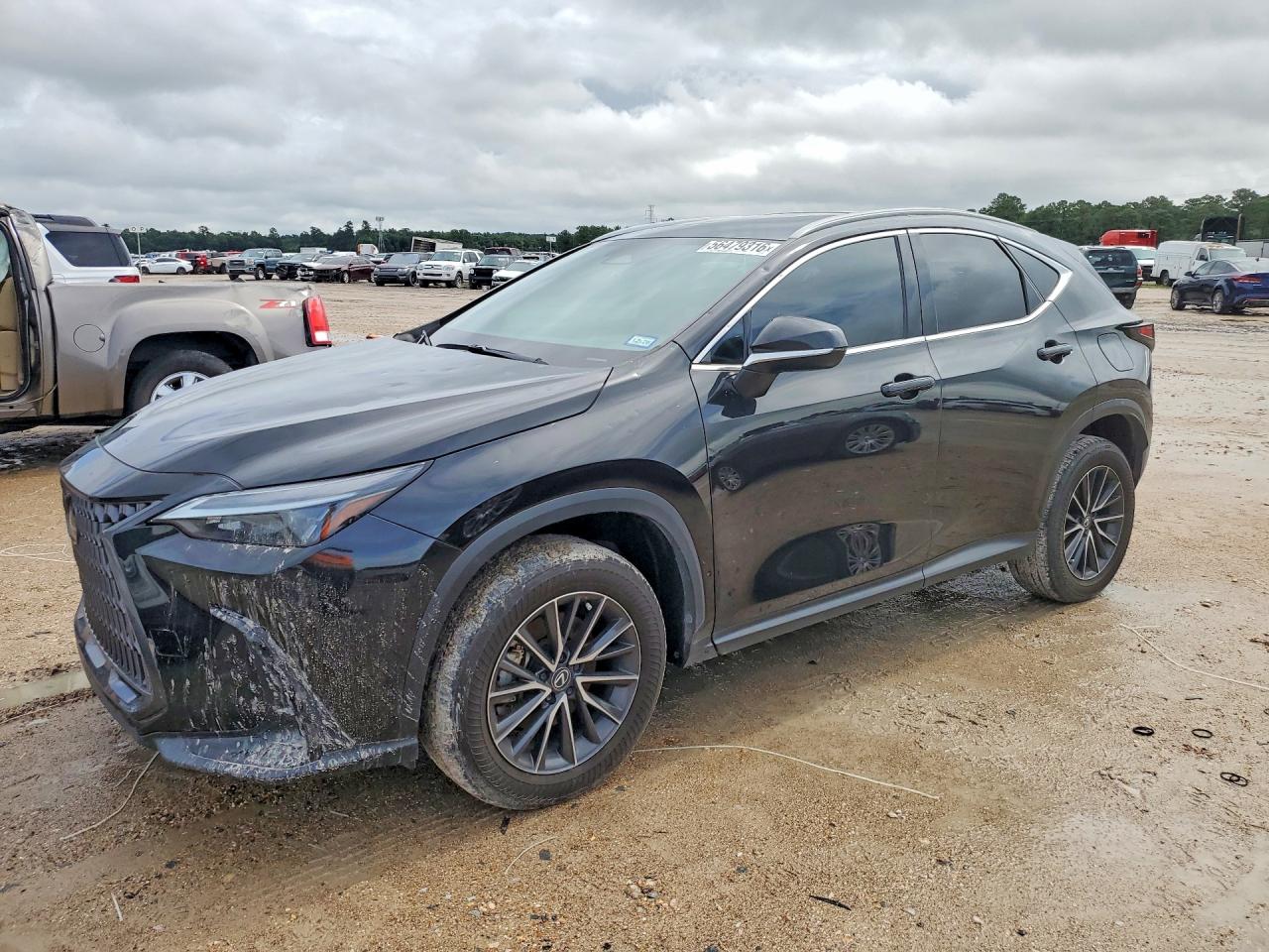 2024 LEXUS NX 350 Premium