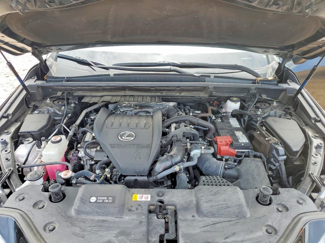 2024 LEXUS NX 350 Premium