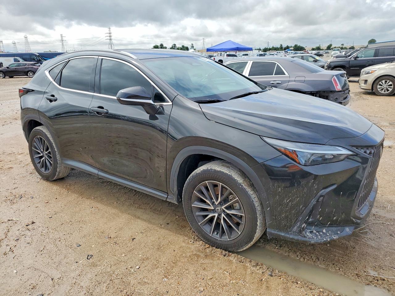 2024 LEXUS NX 350 Premium
