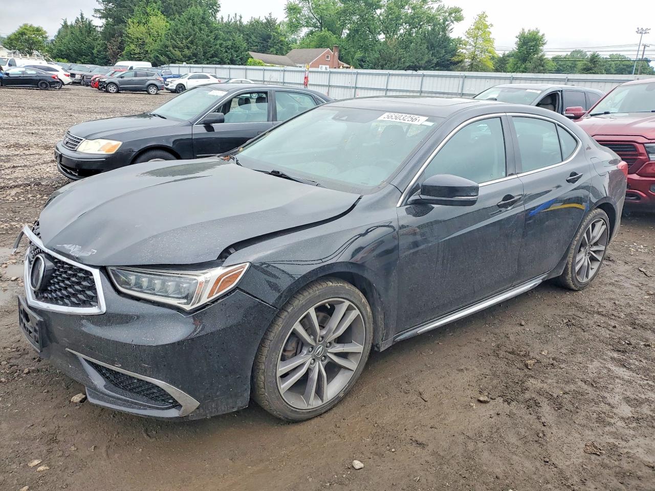 2019 ACURA TLX TEC19 V6