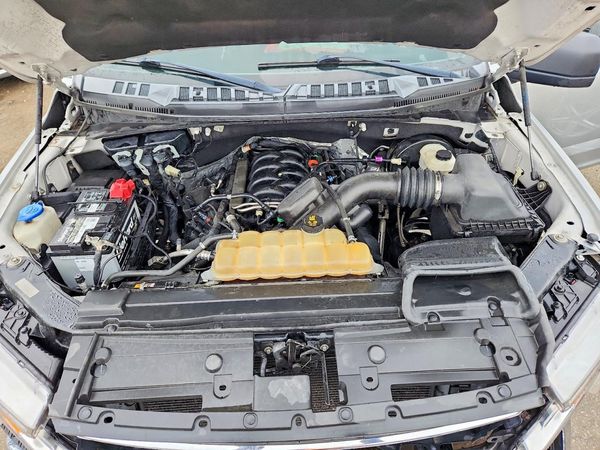 2019 FORD F150