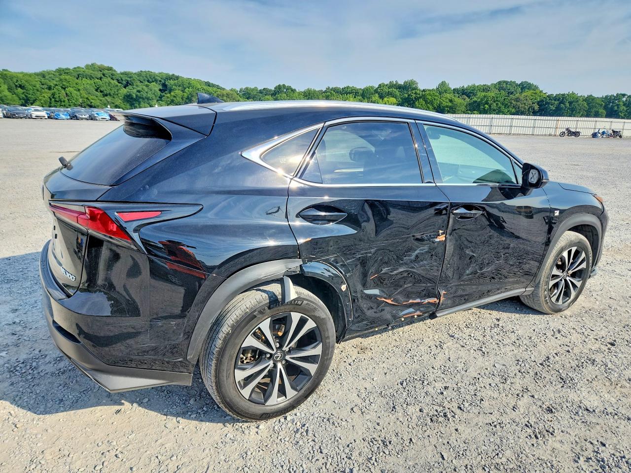 2020 LEXUS NX 300 F Sport Comfort