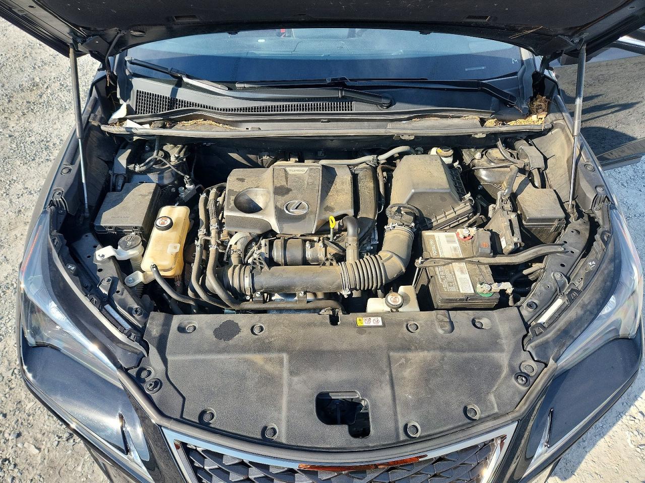 2020 LEXUS NX 300 F Sport Comfort