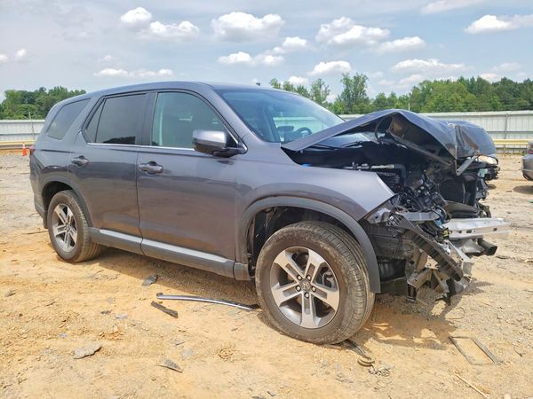 2025 HONDA PILOT EX-L, EX-L HPD