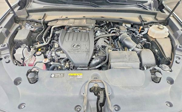 2024 LEXUS TX 500H