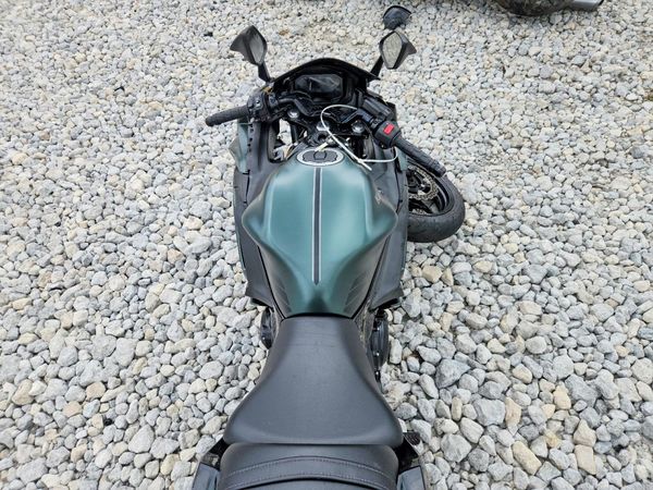2025 KAWASAKI EX650 P