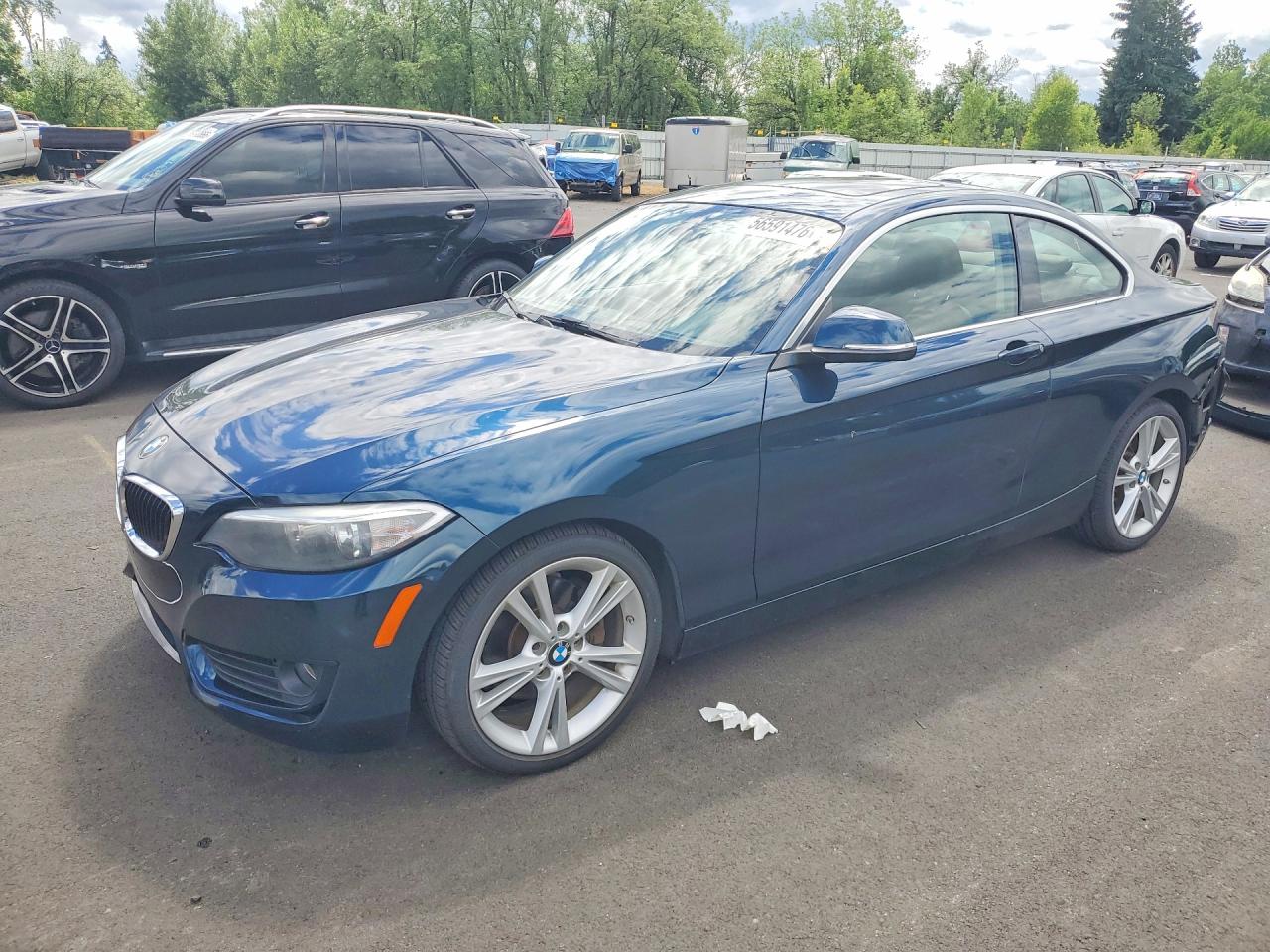 2014 BMW 228