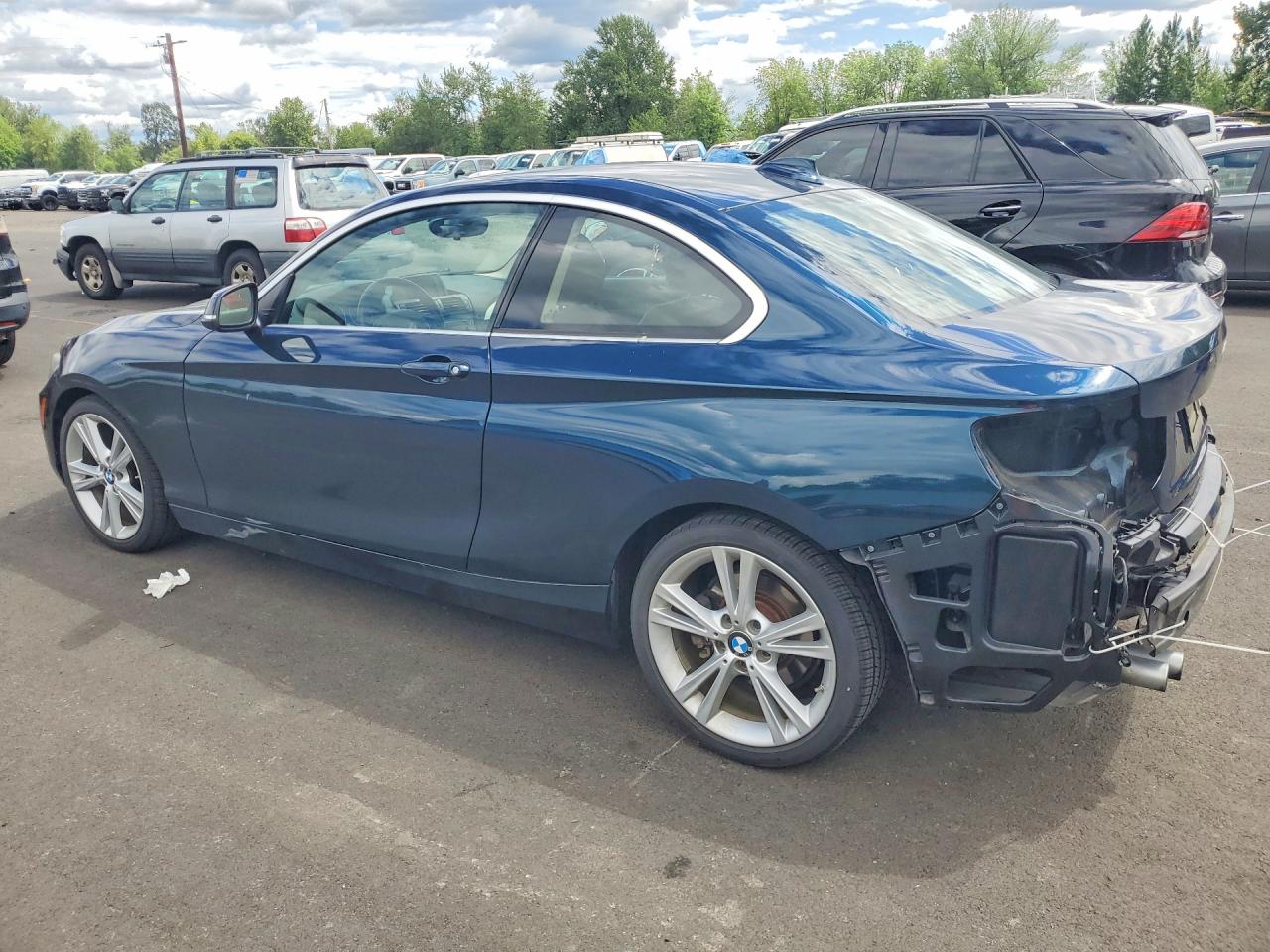 2014 BMW 228
