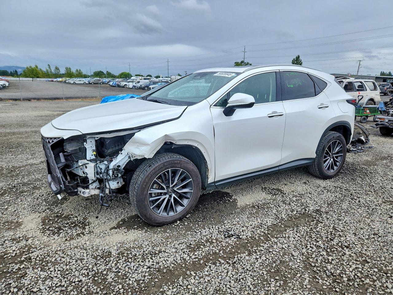 2023 LEXUS NX 350h Base