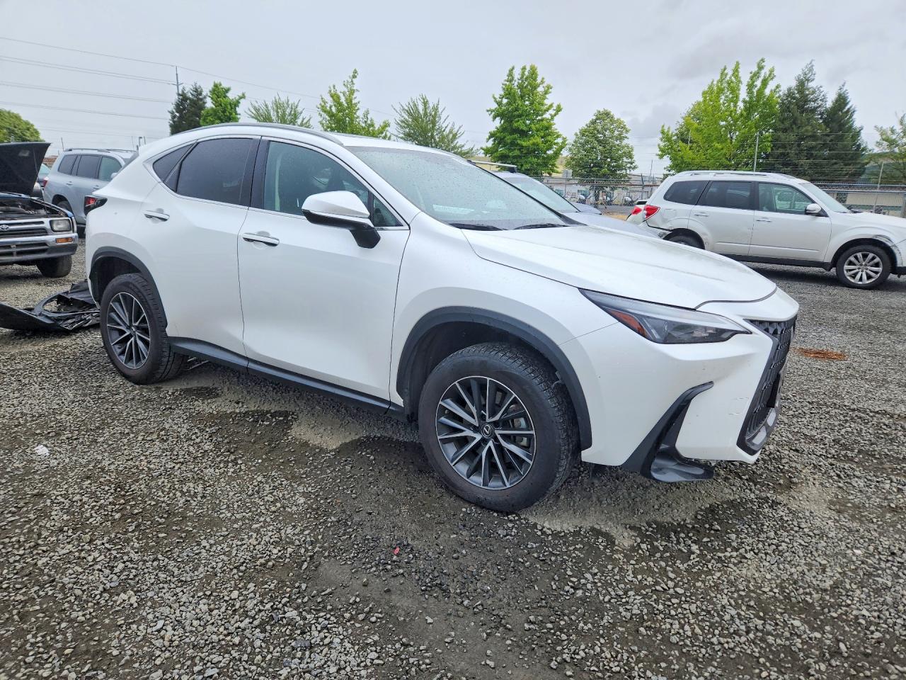 2023 LEXUS NX 350h Base