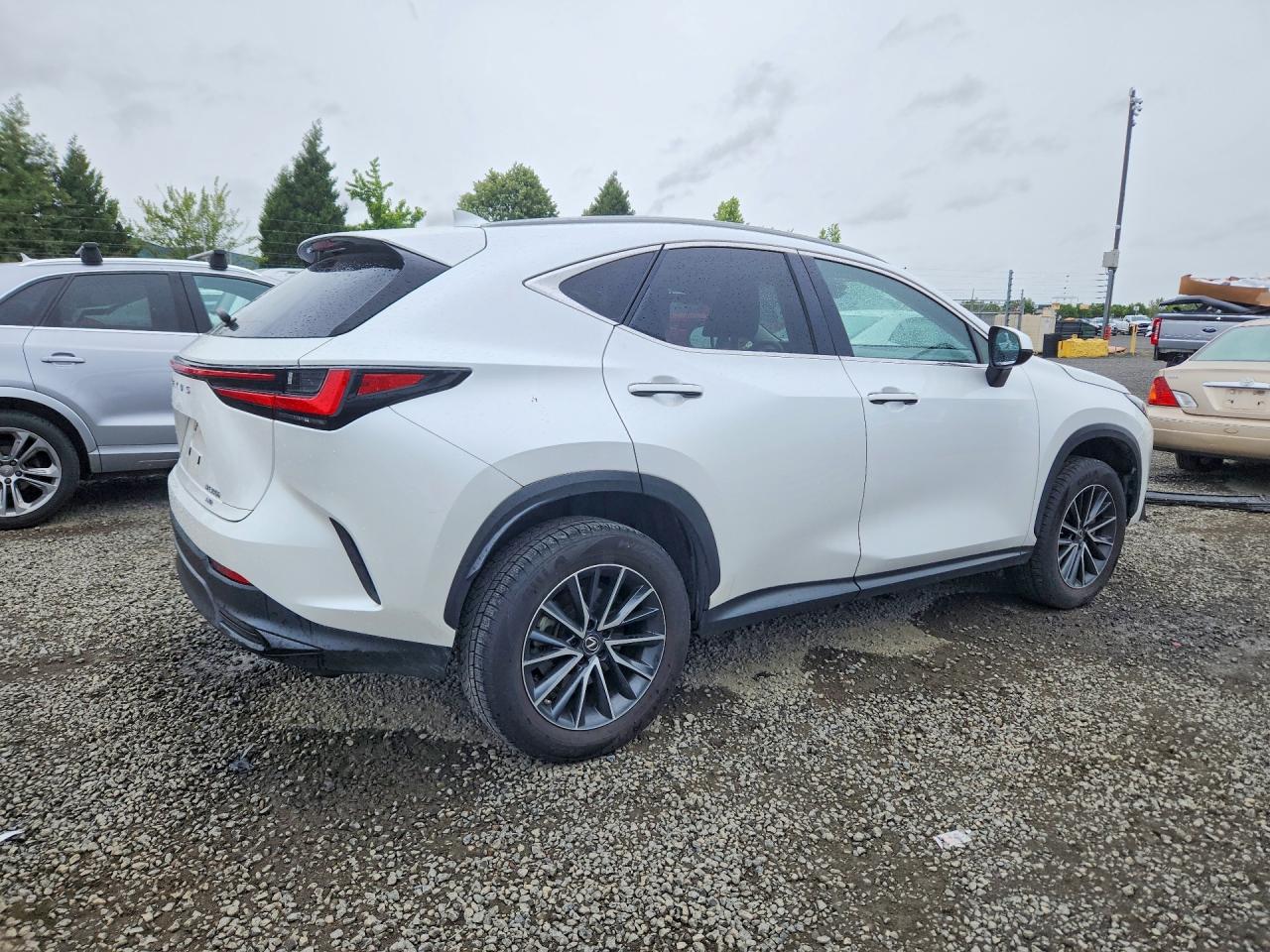 2023 LEXUS NX 350h Base