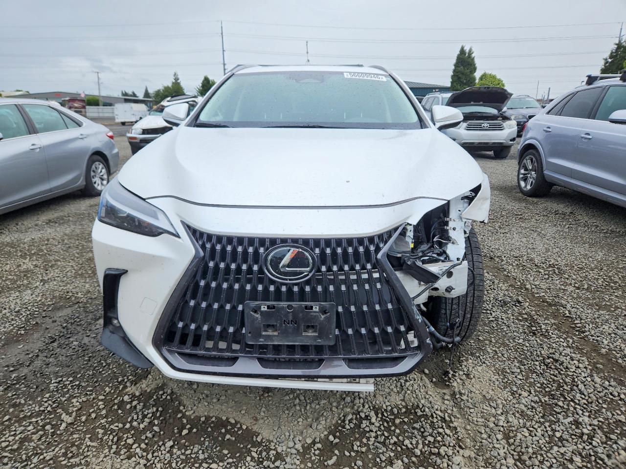 2023 LEXUS NX 350h Base