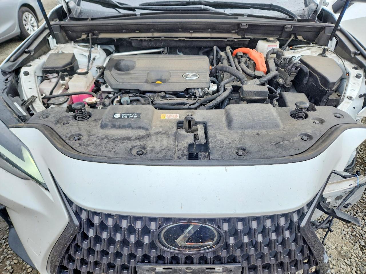 2023 LEXUS NX 350h Base