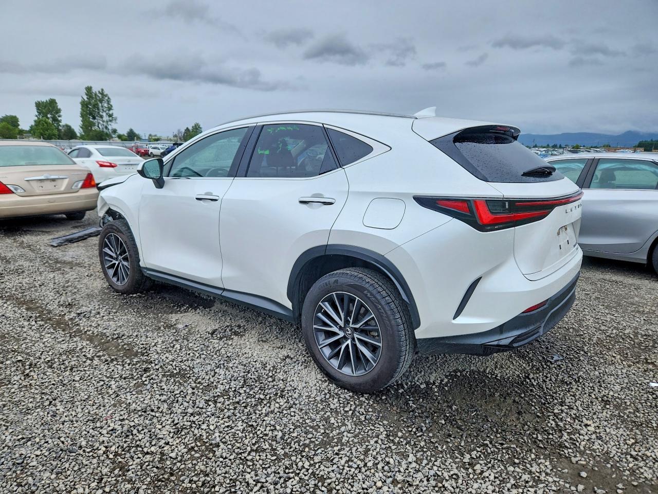 2023 LEXUS NX 350h Base