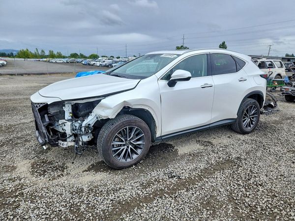 2023 LEXUS NX
