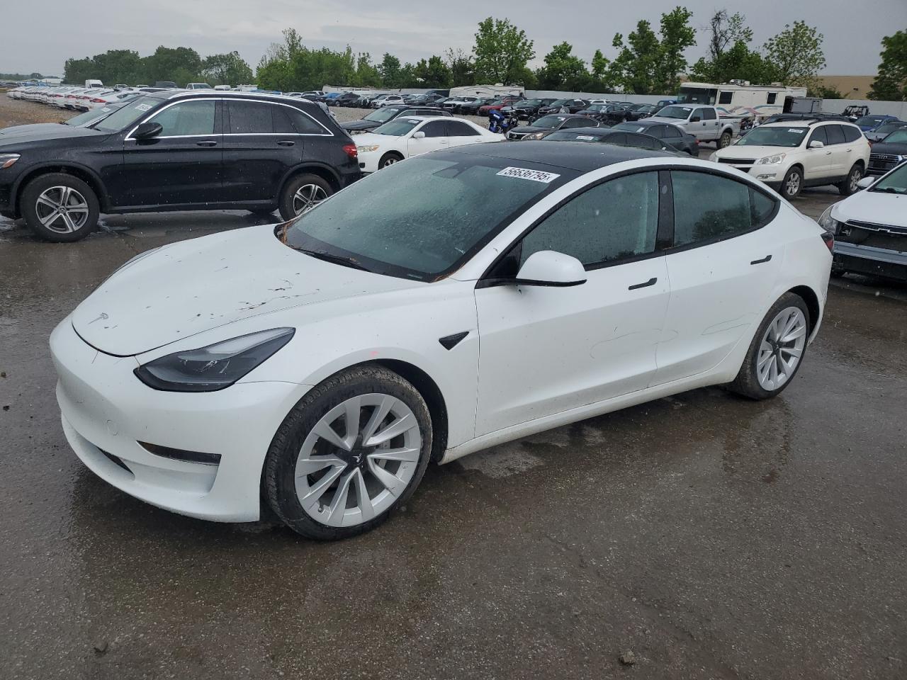 2023 TESLA MODEL 3