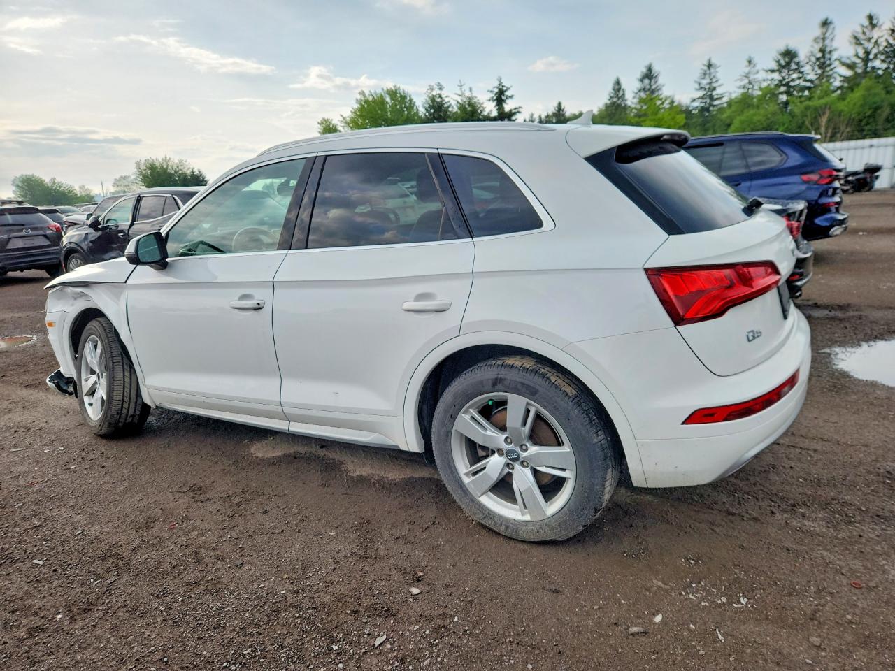 2019 AUDI Q5 quattro Prestige