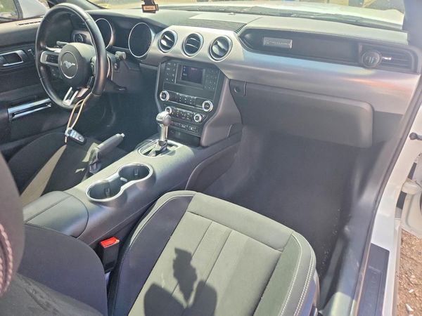 2019 FORD MUSTANG