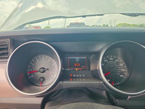 2019 FORD MUSTANG