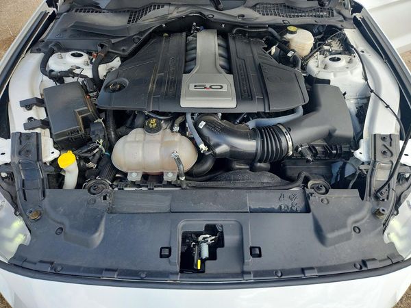 2019 FORD MUSTANG