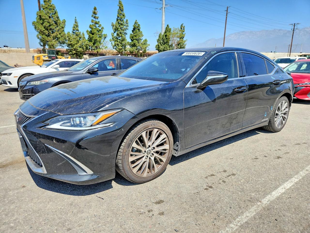2019 LEXUS ES 300h
