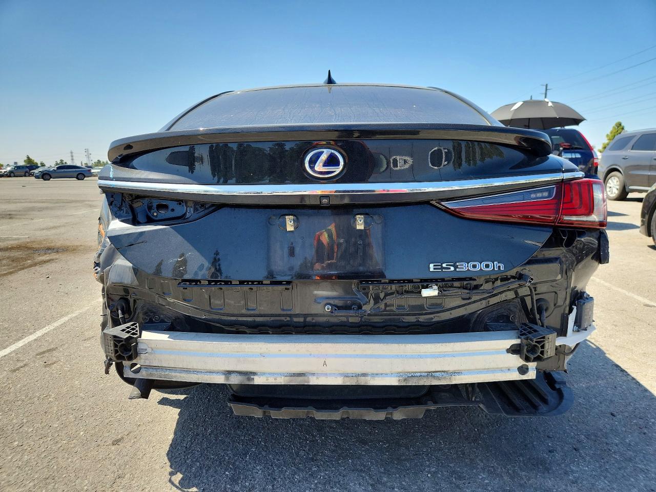 2019 LEXUS ES 300h