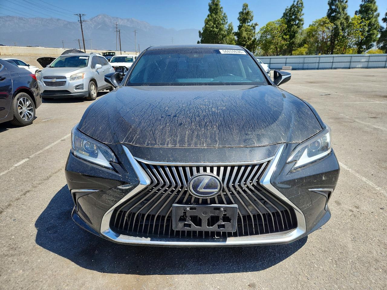 2019 LEXUS ES 300h