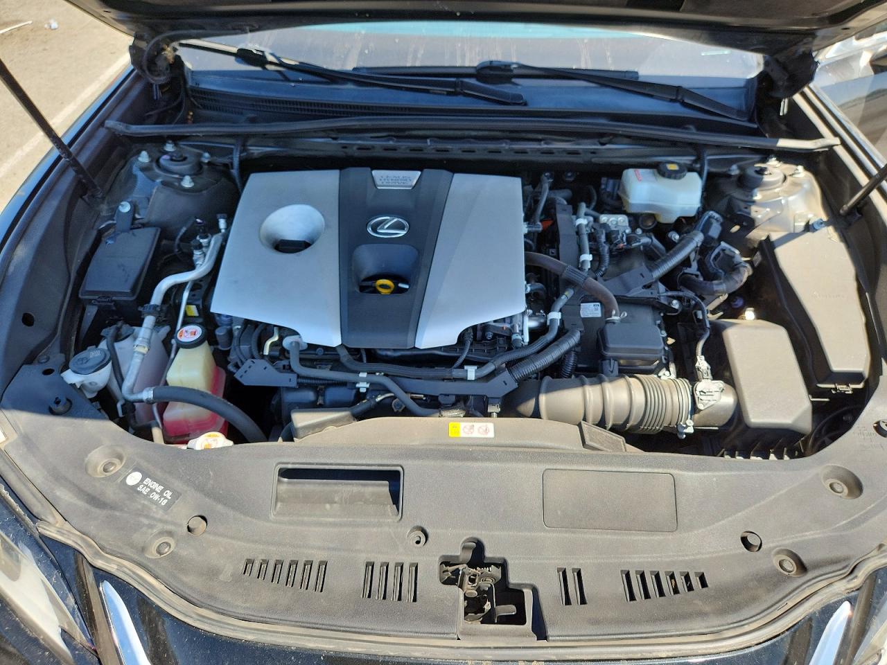 2019 LEXUS ES 300h