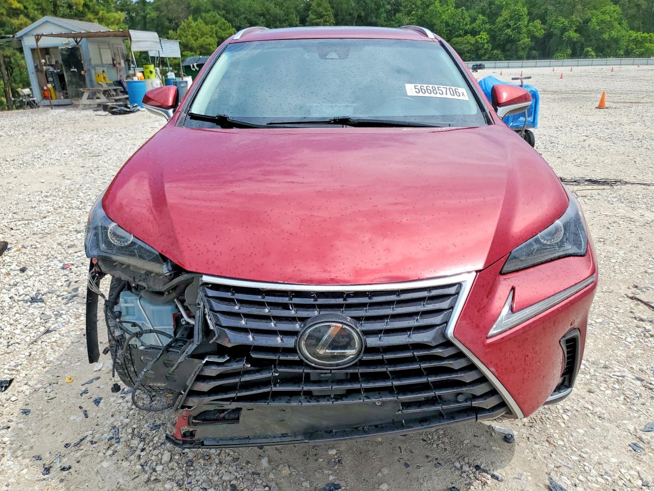 2018 LEXUS NX 300 300 Luxury