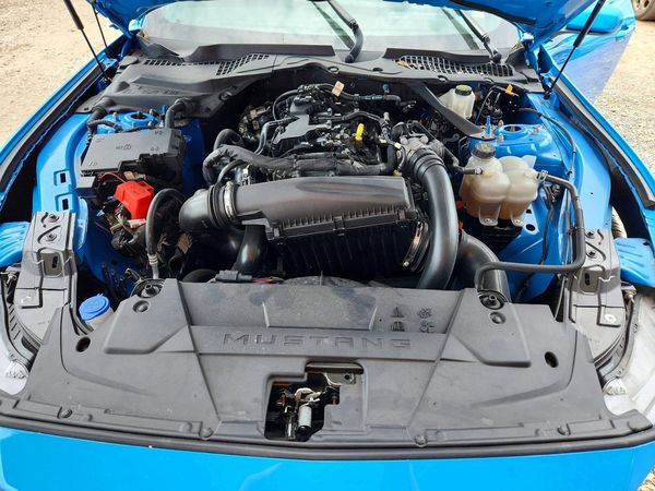 2024 FORD MUSTANG I4