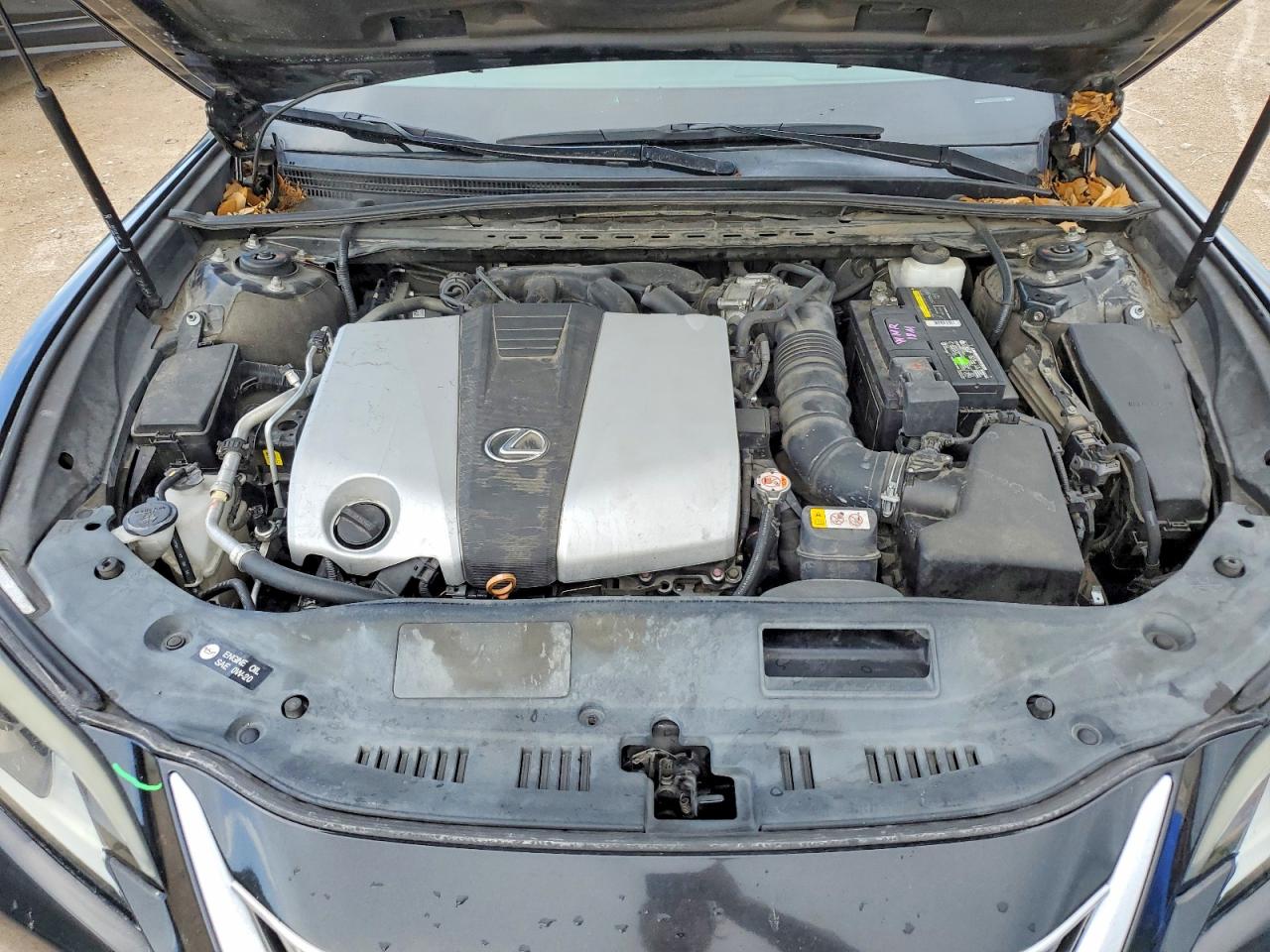 2019 LEXUS ES 350
