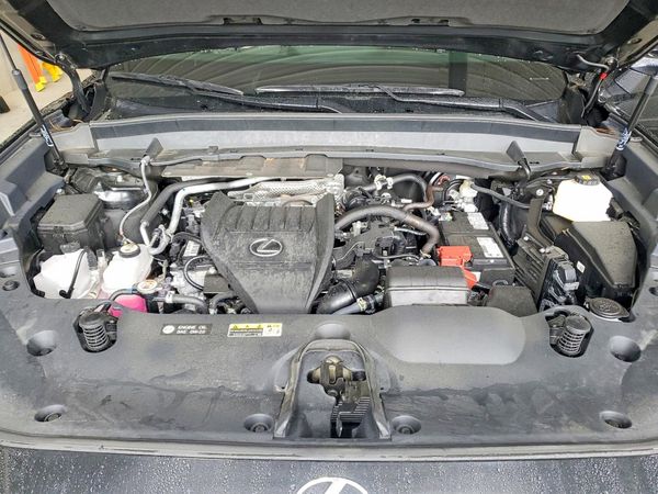 2025 LEXUS TX 350