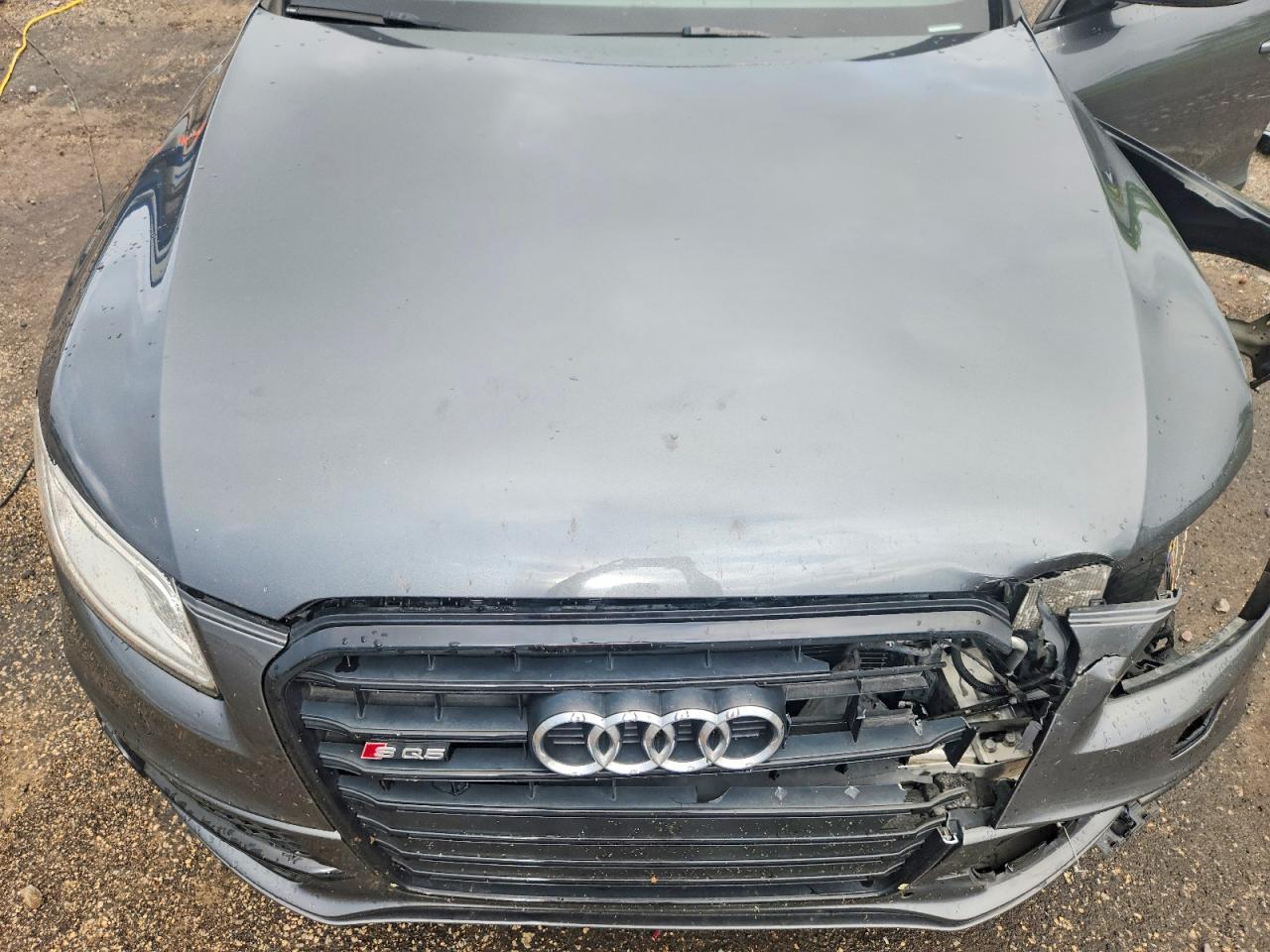 2016 AUDI SQ5 quattro Premium Plus